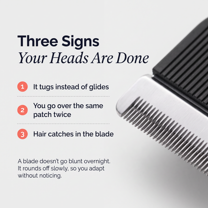 Dermave™ Trimmer 2.0 Replacement Heads