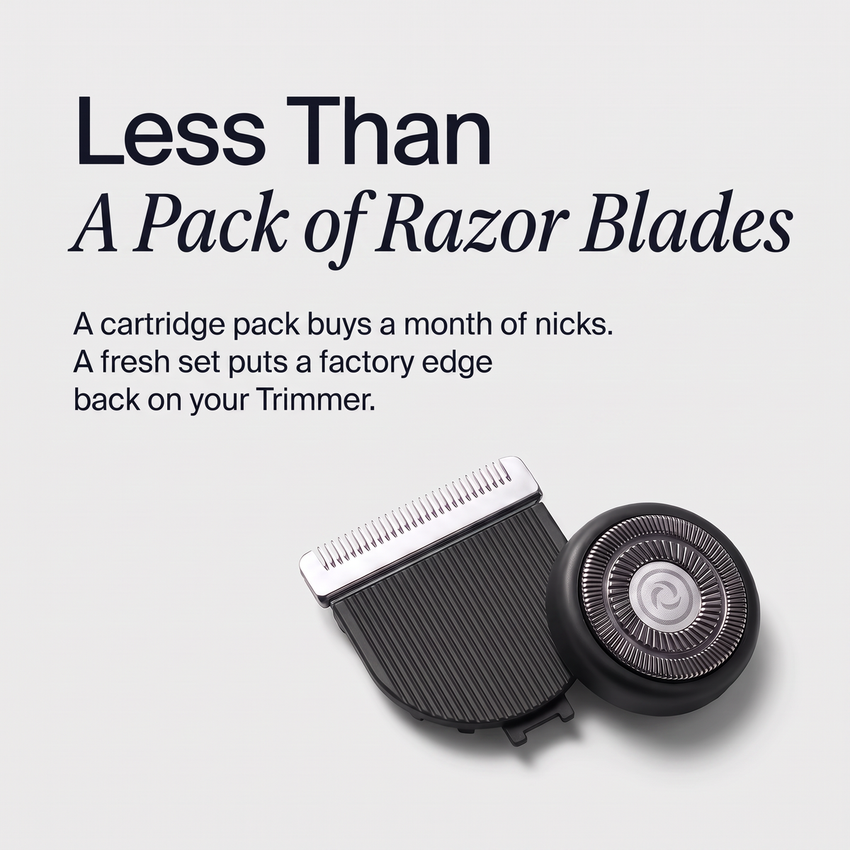 Dermave™ Trimmer 2.0 Replacement Heads